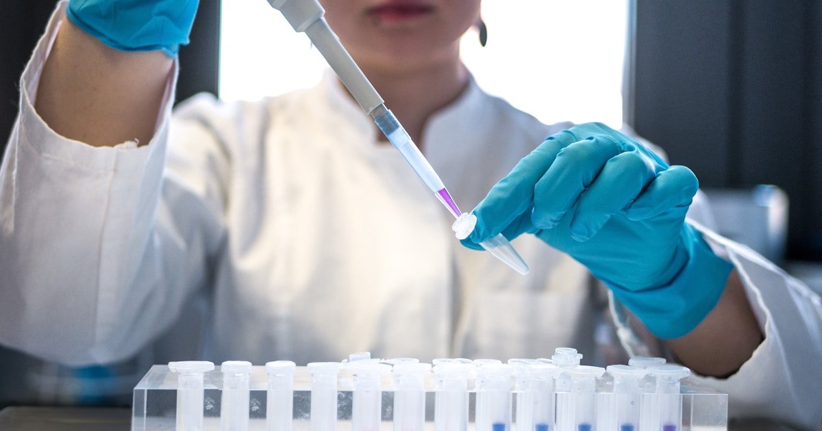 Creatinas Aprovadas ANVISA e ABENUTRI em 2026